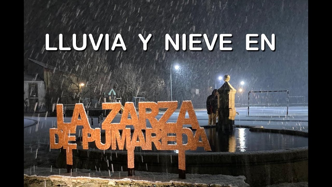 LLUVIA y NIEVE   LA ZARZA