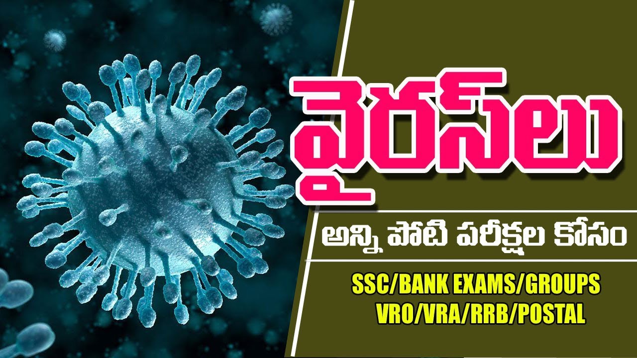 Viruses (Structure, Types and Bacteriophage Replication)|| Biology Telugu Medium