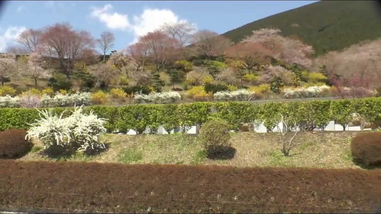 Panasonic AG-AC90 The test video filming (MP4)