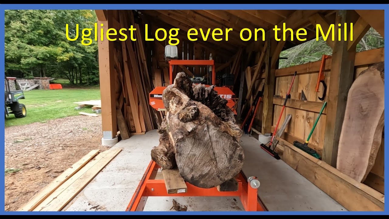 Big Ugly Hard Maple, What's Inside?  Wood-Mizer LT15