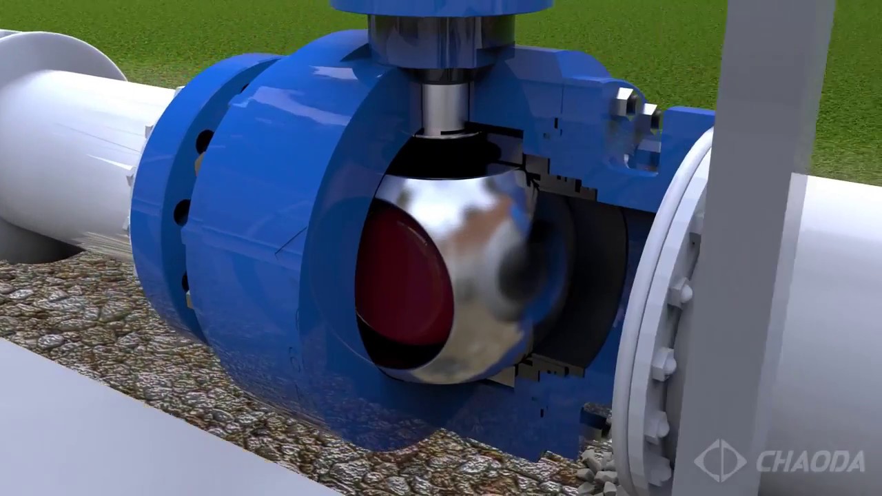 CHAODA Pig Valve Demonstration
