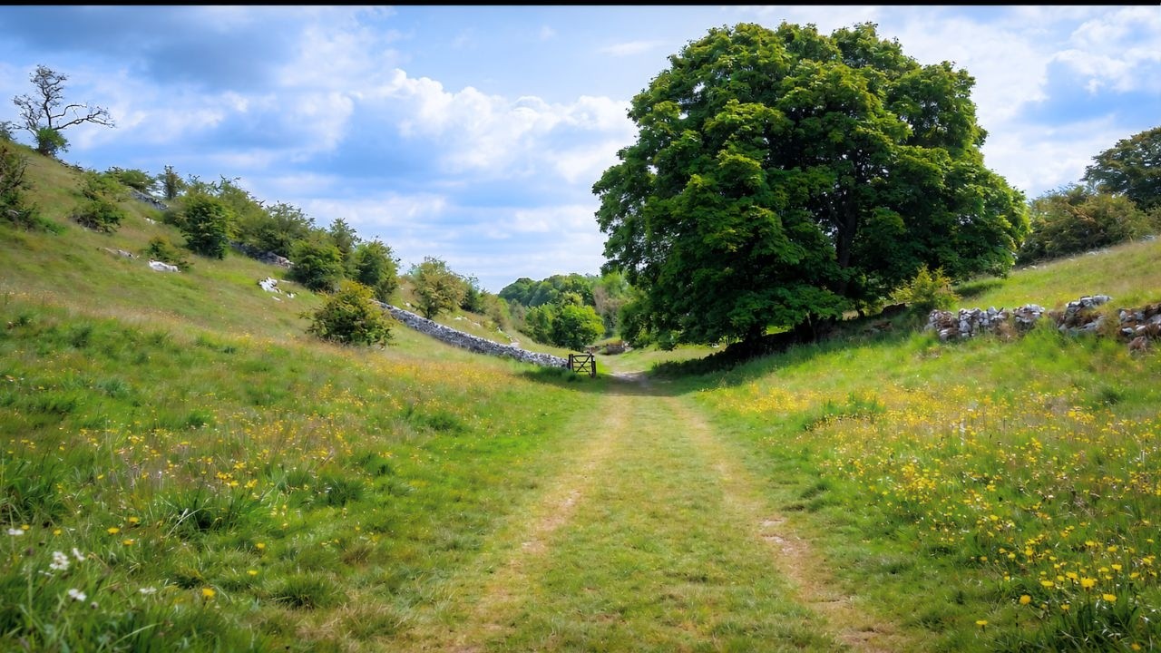 Lathkill Dale Valley Walk, English Countryside 4K