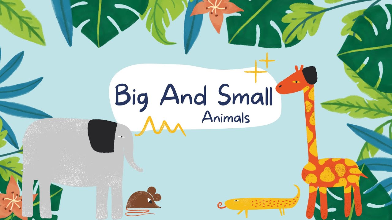 Kids Learning Video: Exploring the Fascinating World of Big and Small Animals 🐈🐘🐁🐖