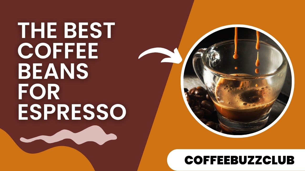 The Best Coffee Beans For Espresso | Coffee Buzz Club |