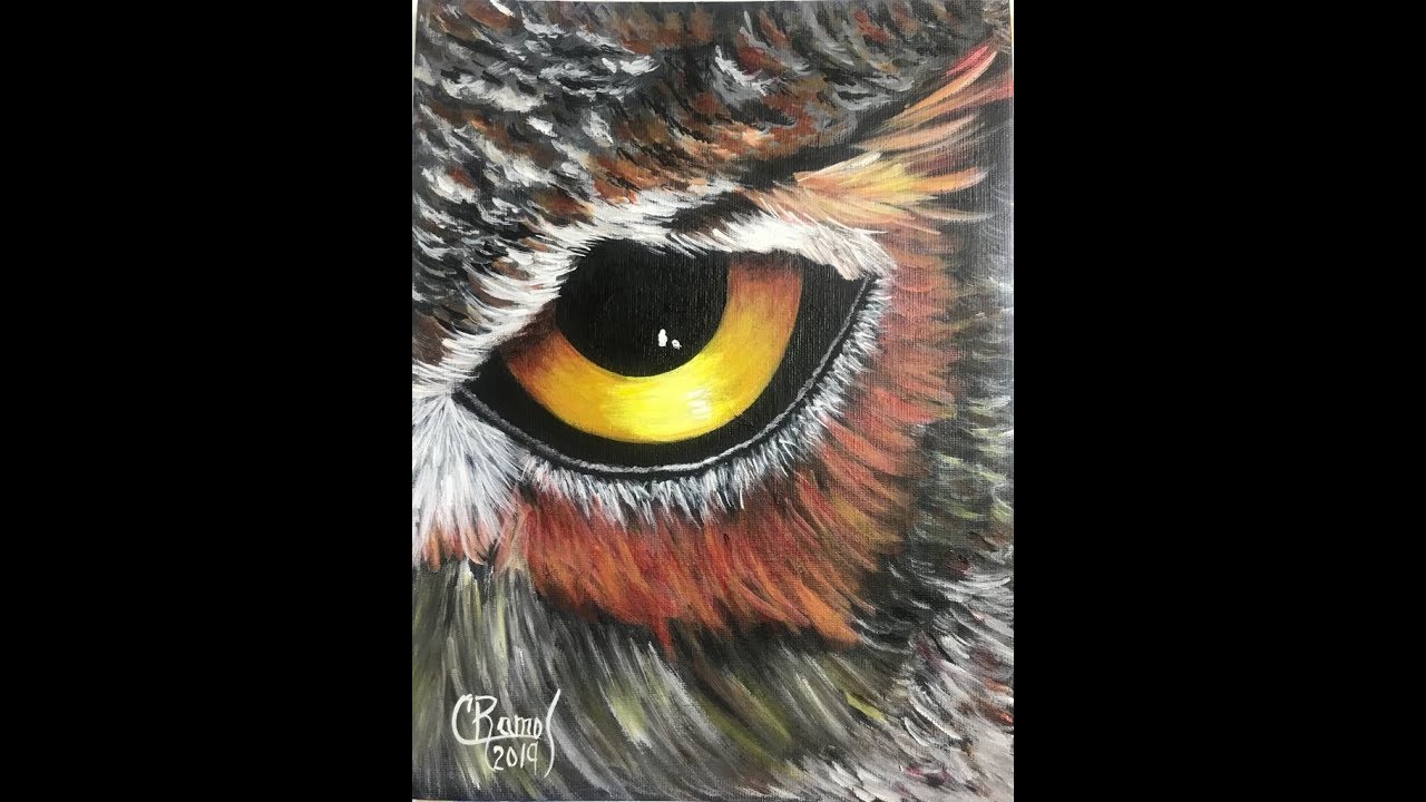 PINTANDO PARTE DE LA CARA DE UN BUHO