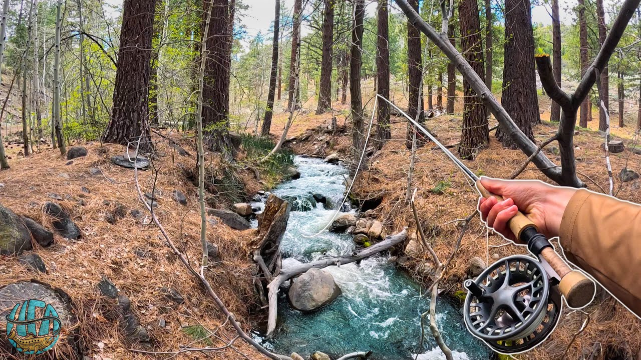 Fly Fishing Nevada and California for BIG trout! (2 Days of Trout Fishing)