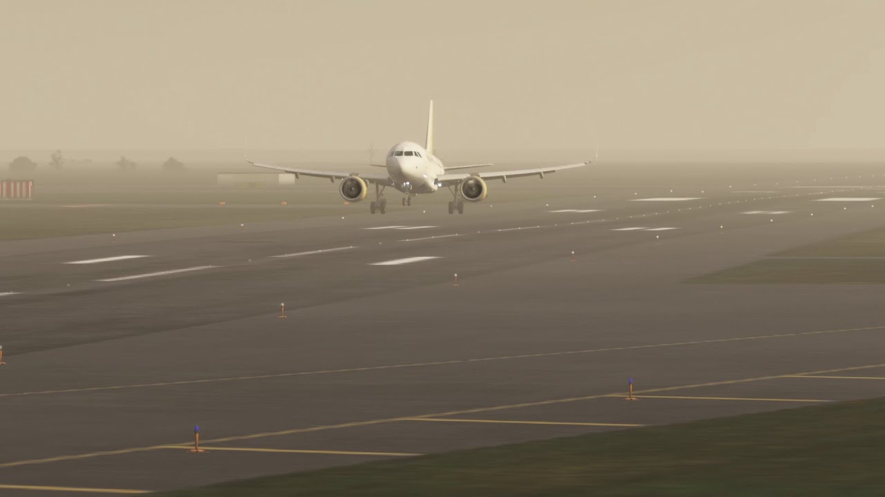 Airbus A320 Landing at Paris Charles de Gaulle Airport in poor visibility conditions | MSFS 2024