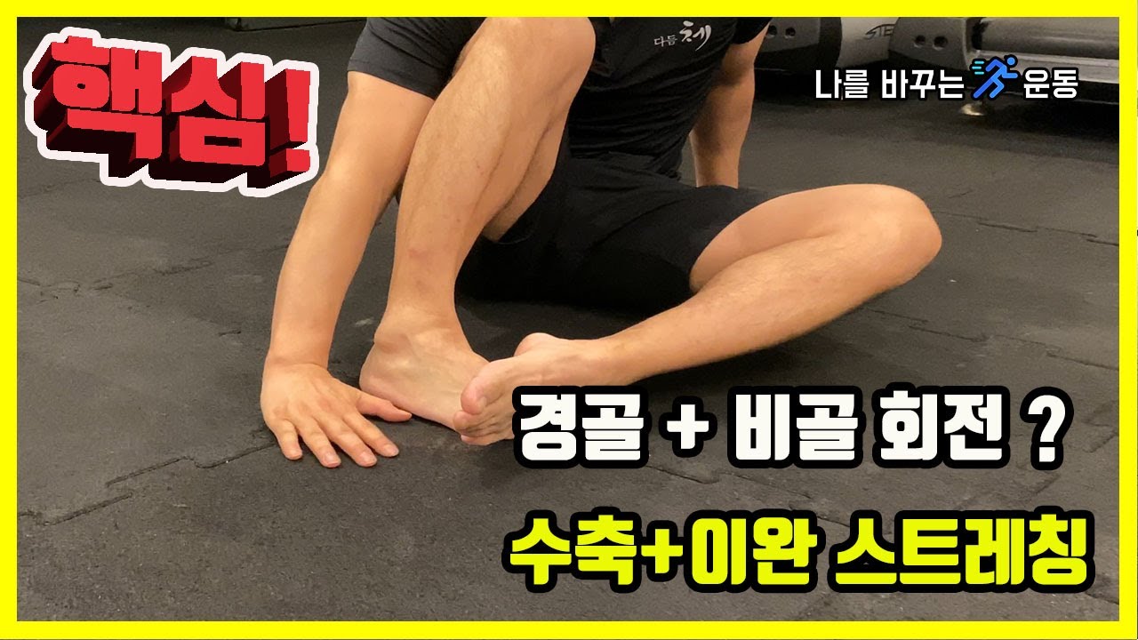 3. 하체운동 전 발목, 무릎에서 중요한 경골+비골 회전?  스트레칭 방법 Tibial Internal & External Rotation Mobility