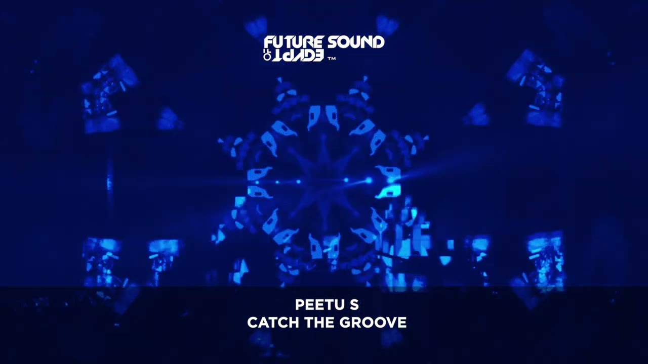 Peetu S - Catch the Groove