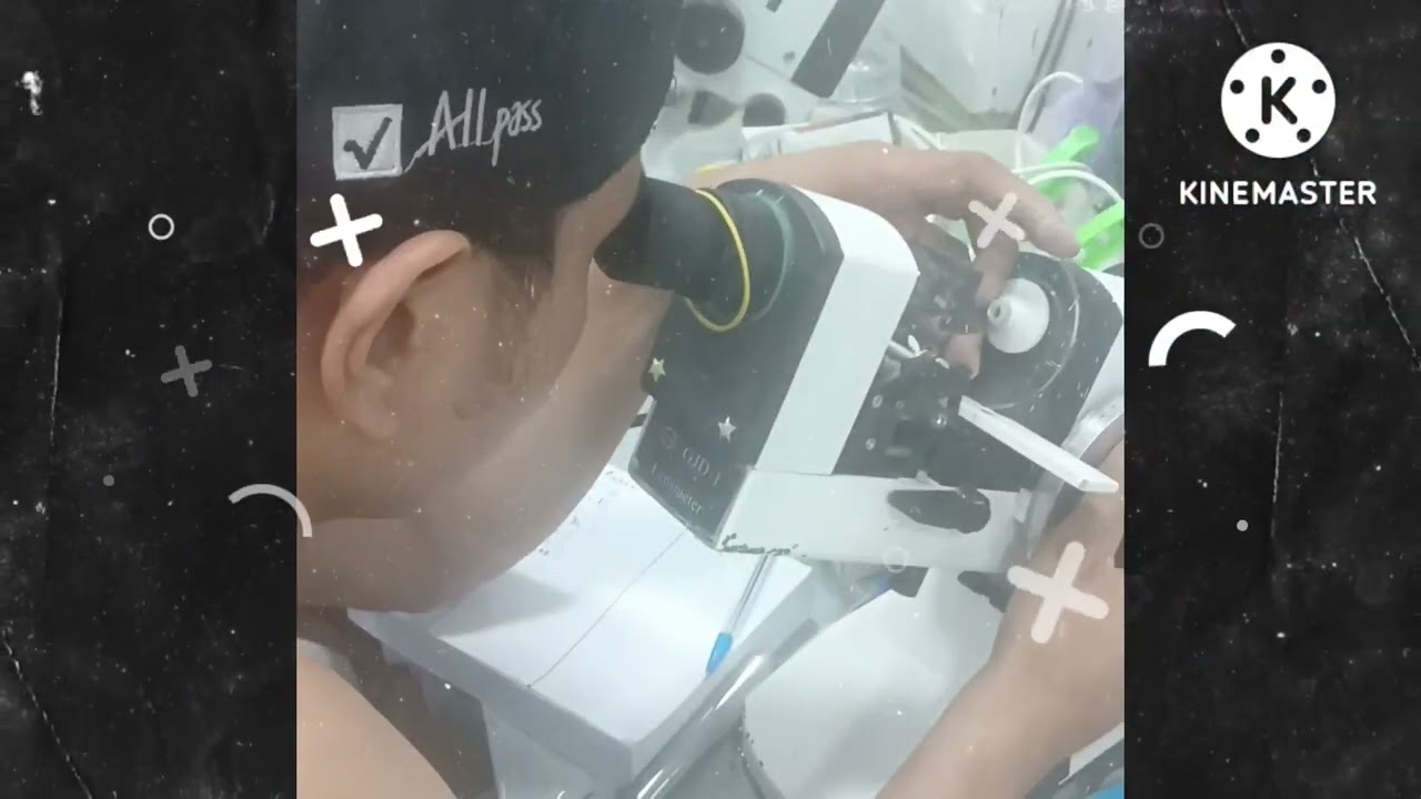 E. SANTIAGO OPTICAL CLINIC