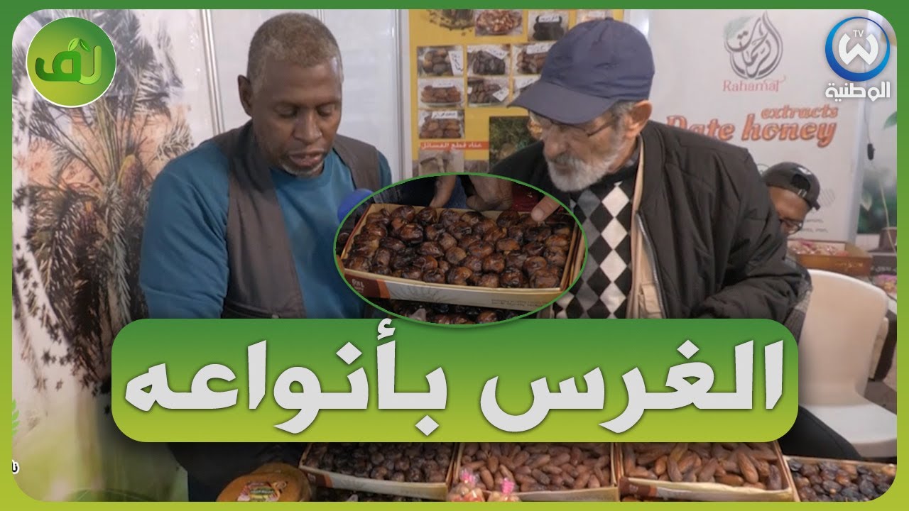تعرف على مختلف انواع التمور في غرداية والفرق بين الغرس الابيض والأسود