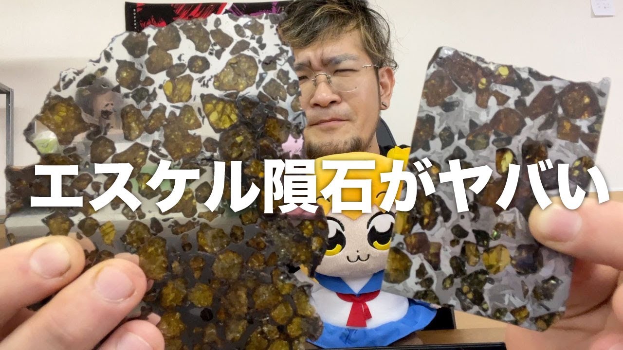 イミラックよりも希少でキレイなエスケル隕石【パラサイト隕石の最高峰】