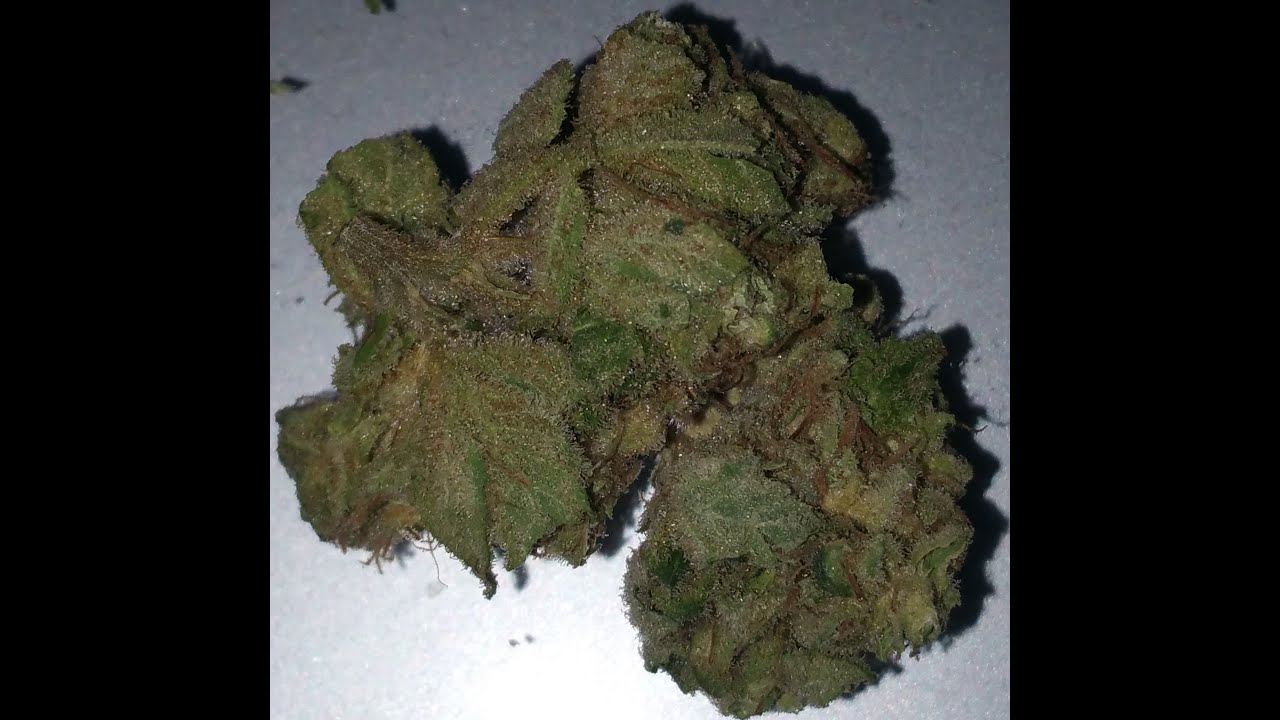 Purple Trainwreck by Alternative Solutions