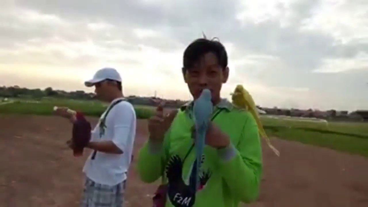 Demam Parbeng | Free Fly | #freefly #parbeng #kffj
