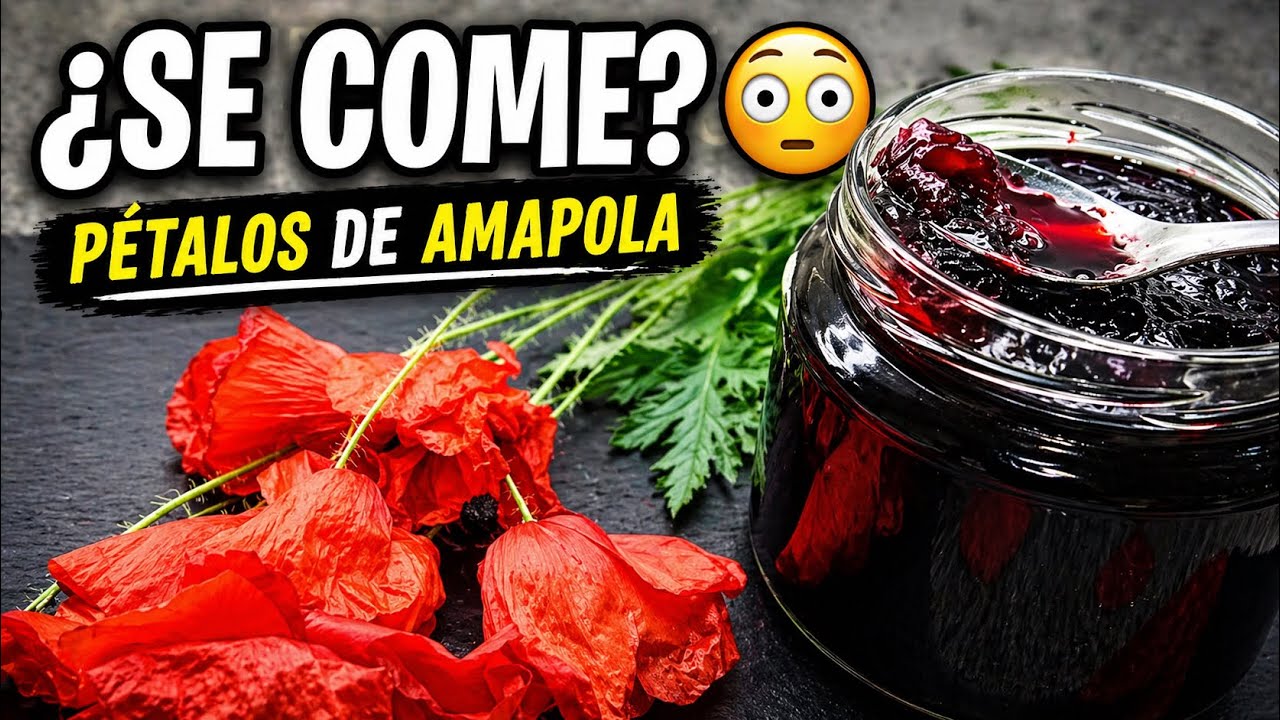 MERMELADA DE PETALOS DE AMAPOLA. POPPY PETAL JAM RECIPE.¡ESTO, NO LA HABEIS VISTO NUNCA!