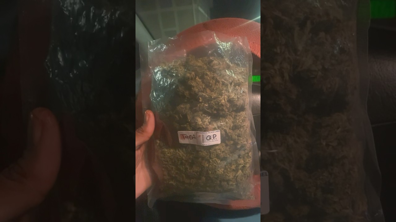 Jkdistro Shake & Smalls Quarter Pound Review 💯 ⛽️