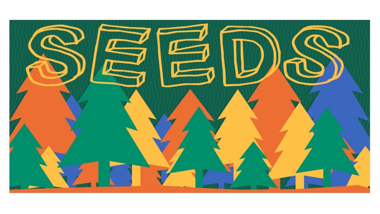 SOUTH BAY KIDS COVE / ELEMENTARY / SEEDS / FEBRUARY 26, 2023