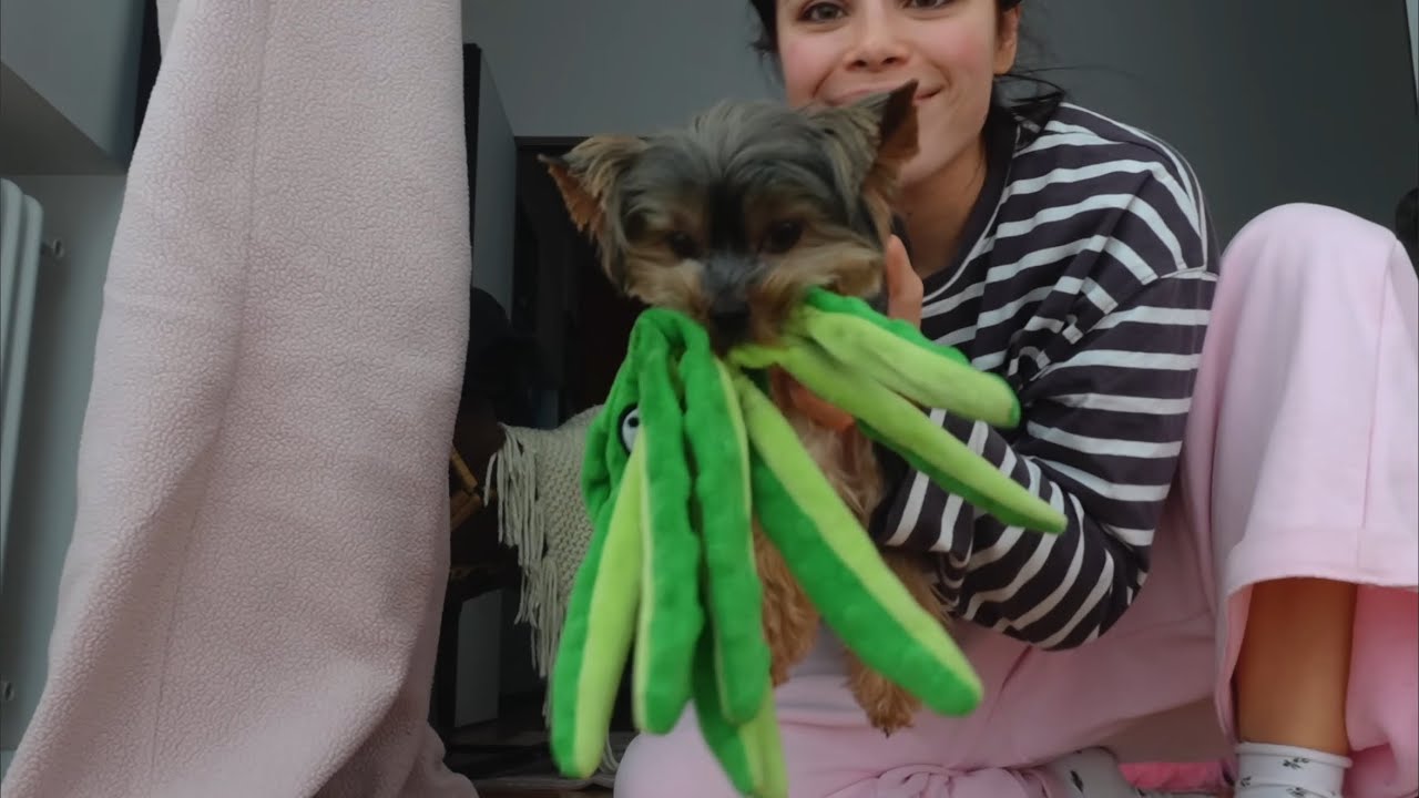 мій реалістичний WEEKLY VLOG. пмс муд :)
