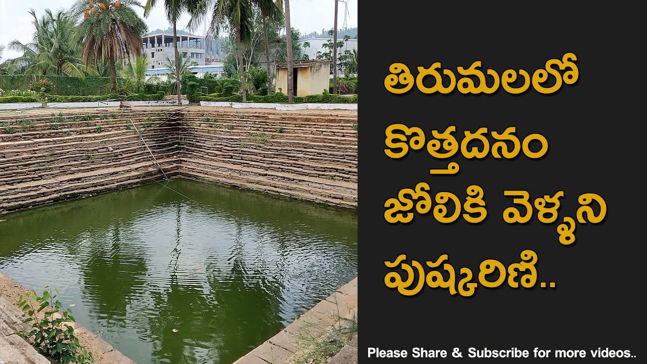 Untouched Pushkarini in Tirumala Hills, Relaxes Your Mind