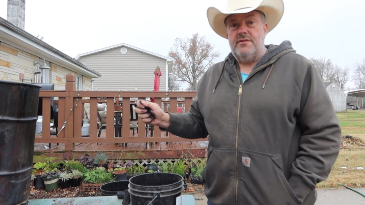 Bio char for your worm castings or compost pile