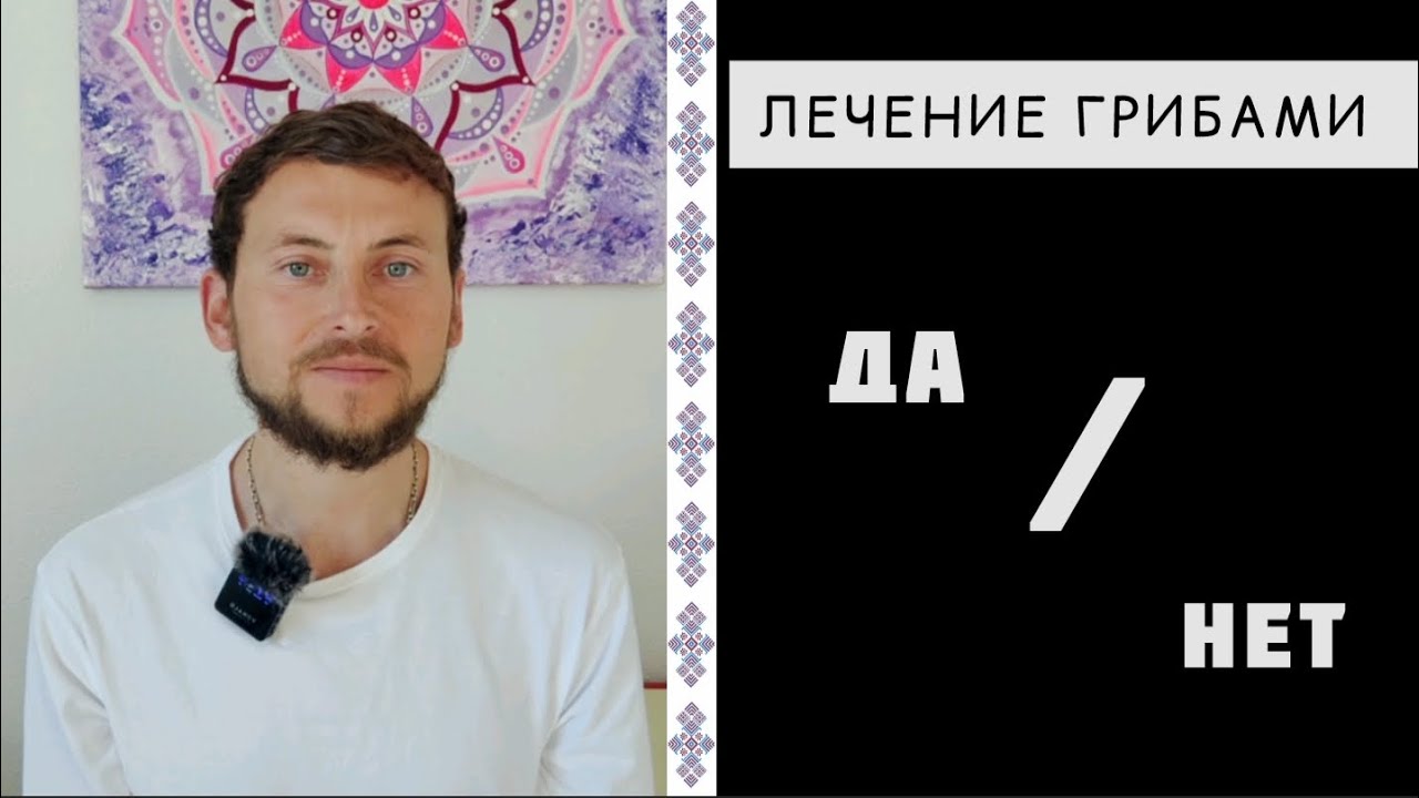 МУХОМОР и КОРДИЦЕПС 