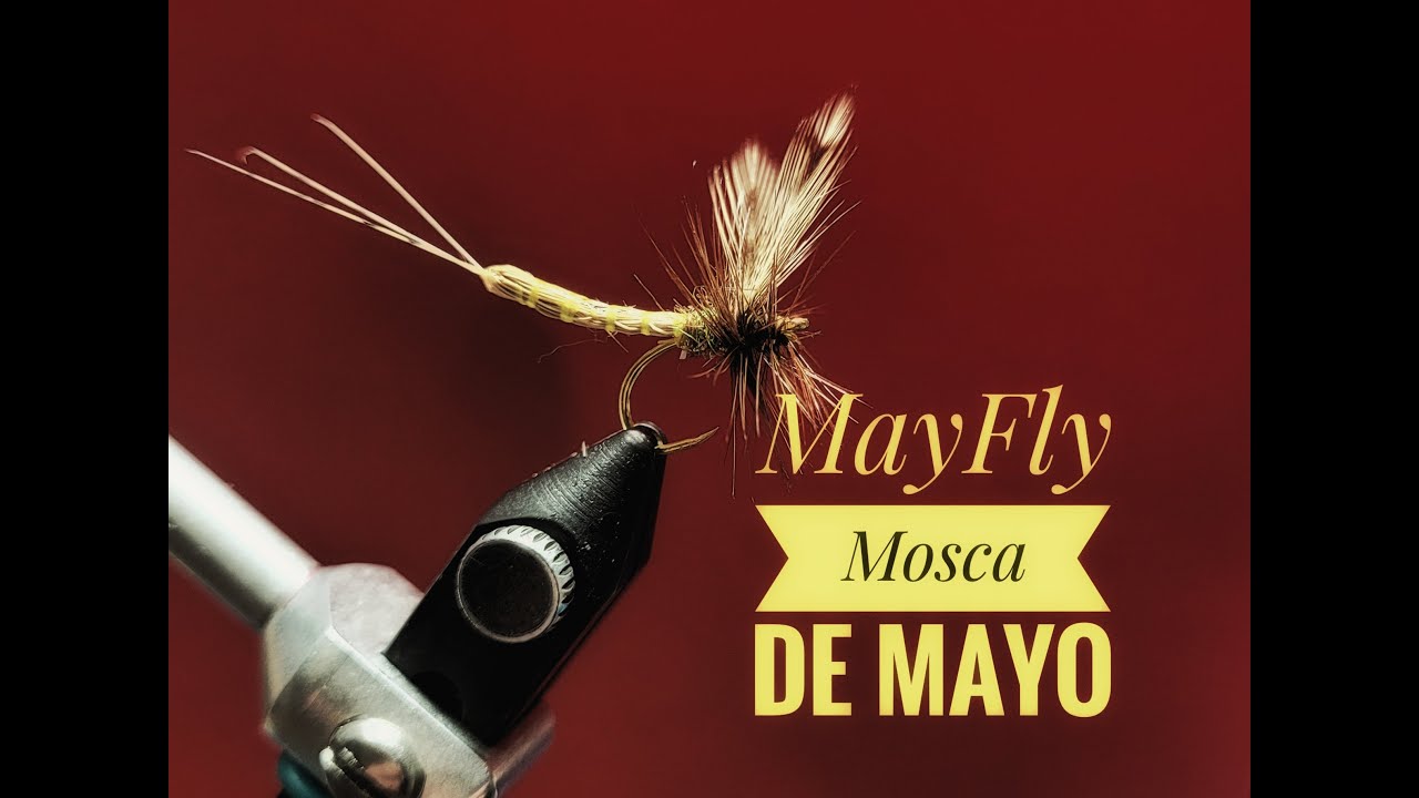 Atado de mosca MayFly con cuerpo extendido paso a paso