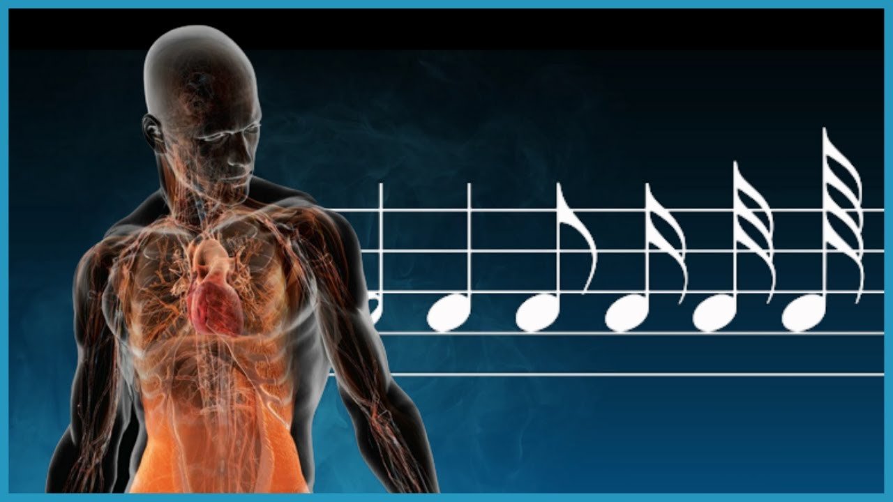 Anatomy of a Musical Note feat. Stem Direction