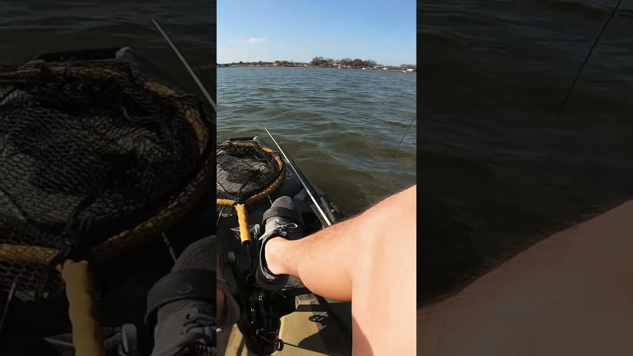 Jerkbait for the Win! 
