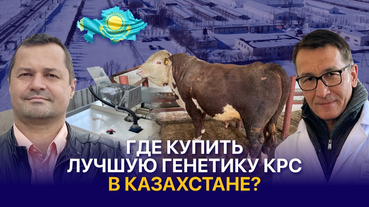 Самый крупный генетический банк КРС в Центральной Азии &mdash; АСЫЛ ТҮЛІК
