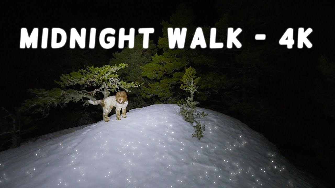 A Sparkling Winter Night Walk with My Dog - Slow-TV 4K