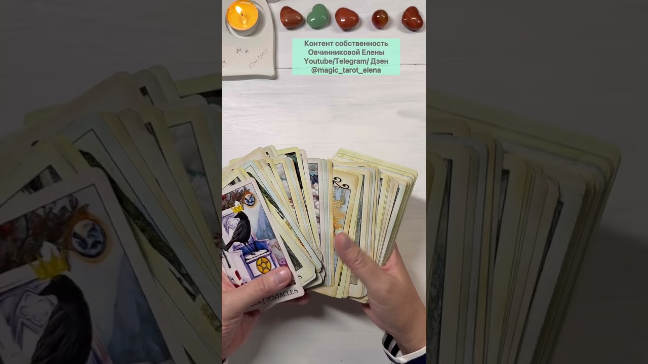 🐦‍⬛CROW TAROT / ТАРО ВОРОН🐦‍⬛ ОБЗОР. ➕и ➖ колоды. Все мои колоды с животными. 