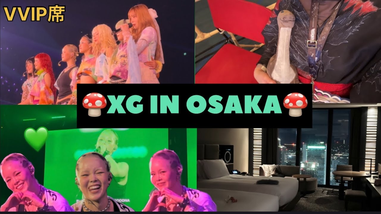 【XG】のワルツ行ったら推しから神ファンサ貰えた🍄💚