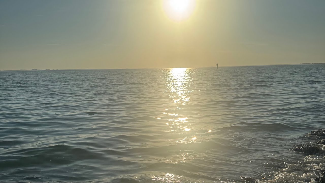 PRAY 🙏 FOR DELIVERANCE : ✨️ #video  8 psalm 25 