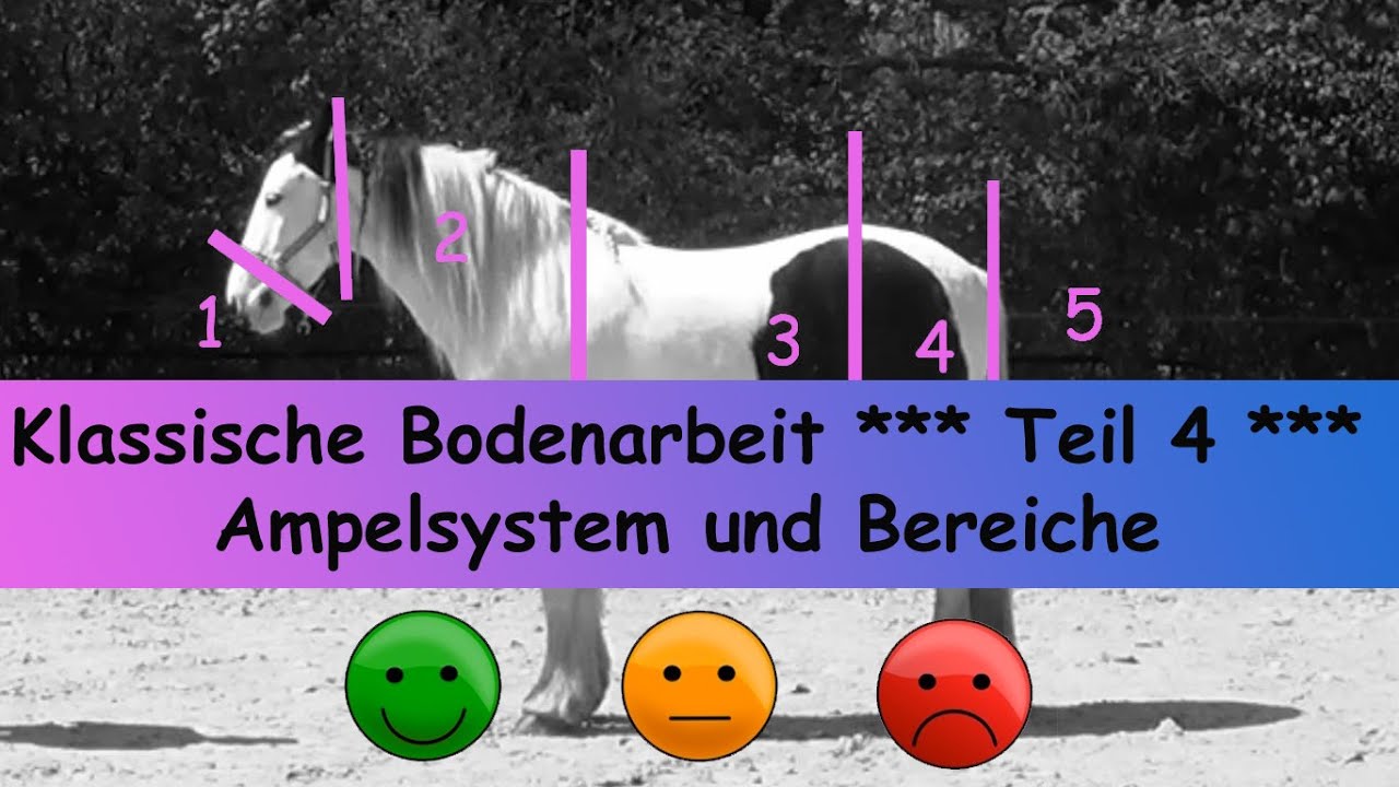 Klassische Bodenarbeit *** Teil 4 *** Ampelsystem und Bereiche eine Pferdes