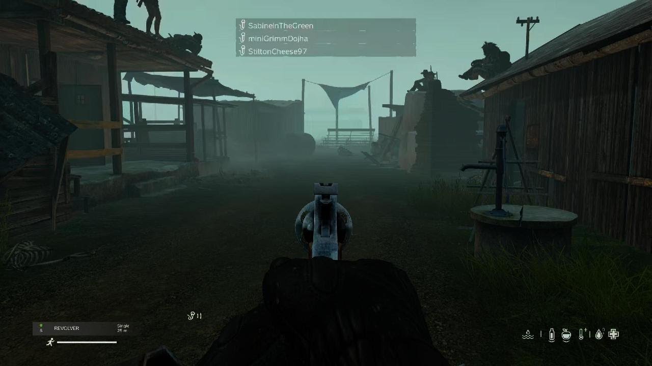 DayZ The Wild West