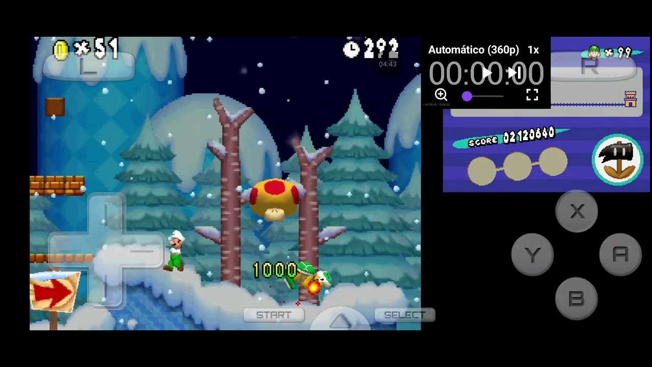 Newer ds parte 14