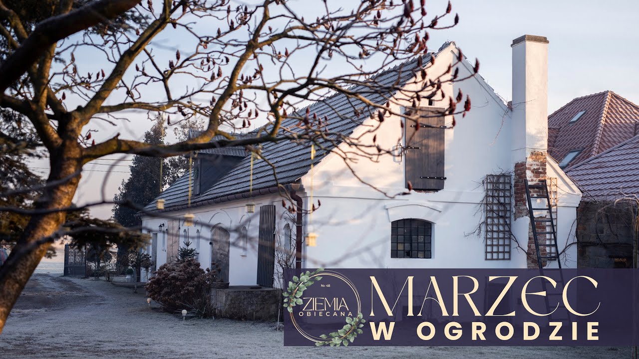 Marzec w ogrodzie - co kwitnie?