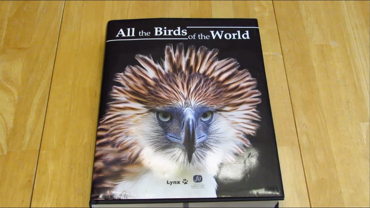 All the Birds of the World - Book Review