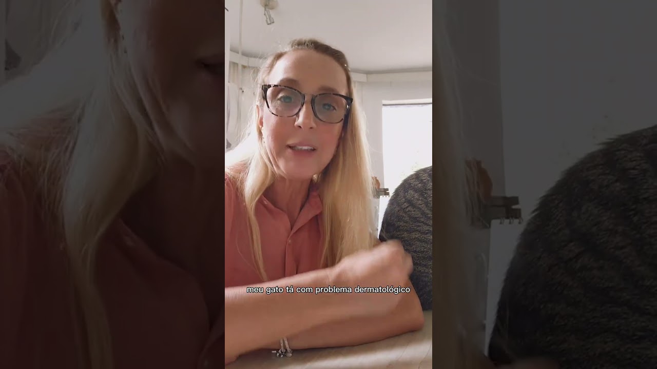 &Eacute; indicado tosar o gato em per&iacute;odos quentes?