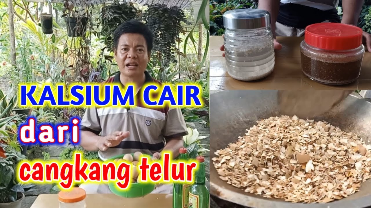 Cara Mengekstrak Unsur Kalsium Pada Cangkang Telur