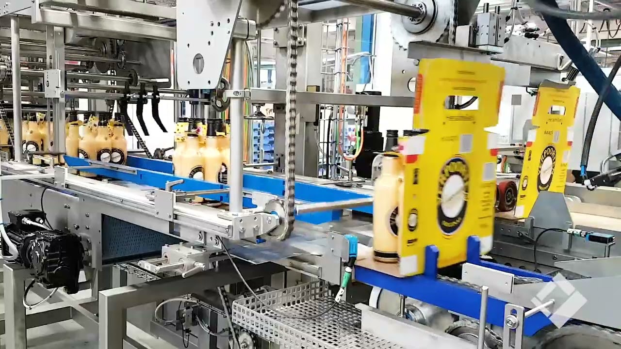 Meypack VP501 wrap-around case packer for glass bottles