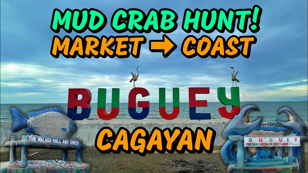 Mangrove Mud Crab Hunting in Buguey, Cagayan 🦀 Philippines Crab Capital 🇵🇭 Market & Coastal Tour