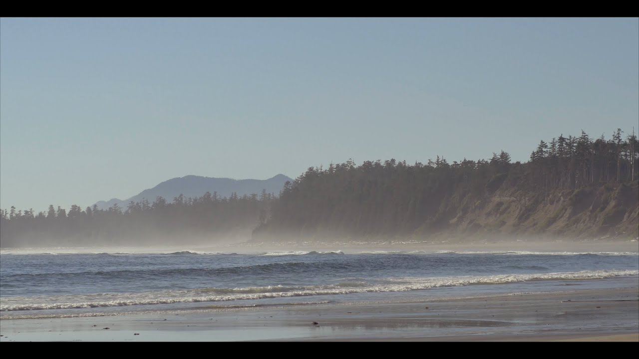 Willowbrae | A Ucluelet 4K Short