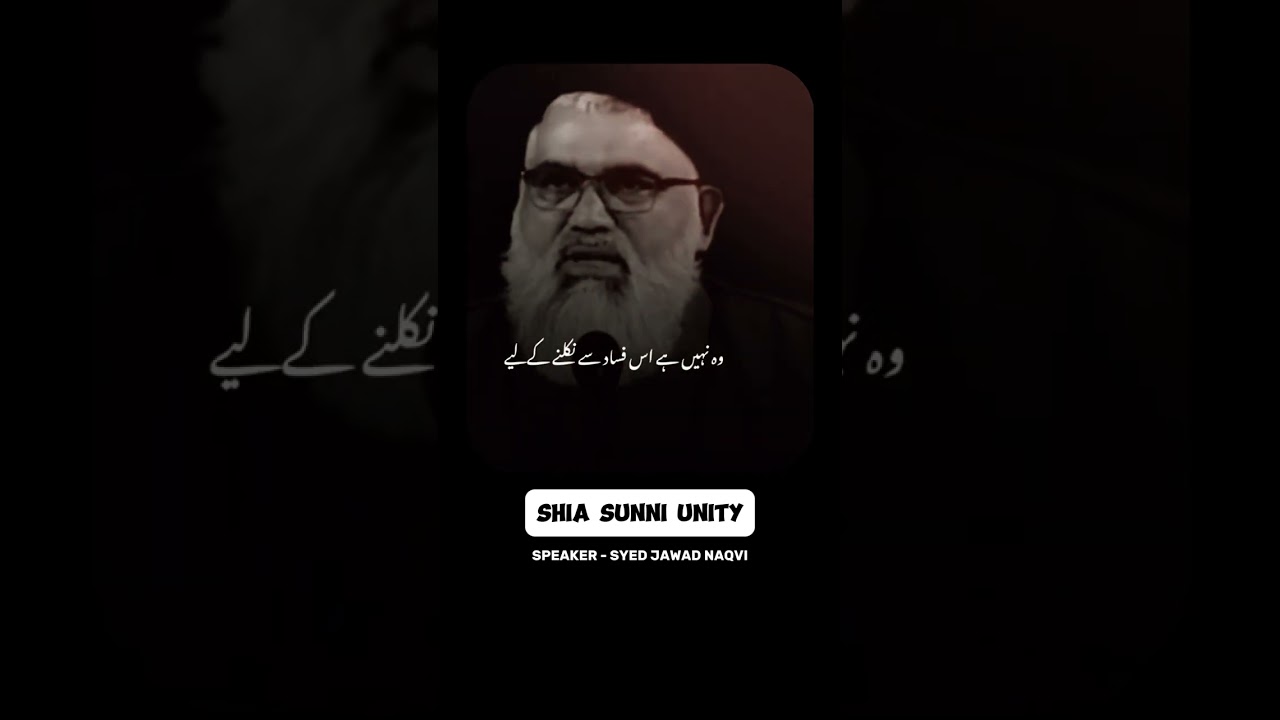 Shia Sunni Ye Gumrahi Chor Do‼️ #muslims #shiasunni #unity #islam #riseofmuslims #syedjawadnaqvi