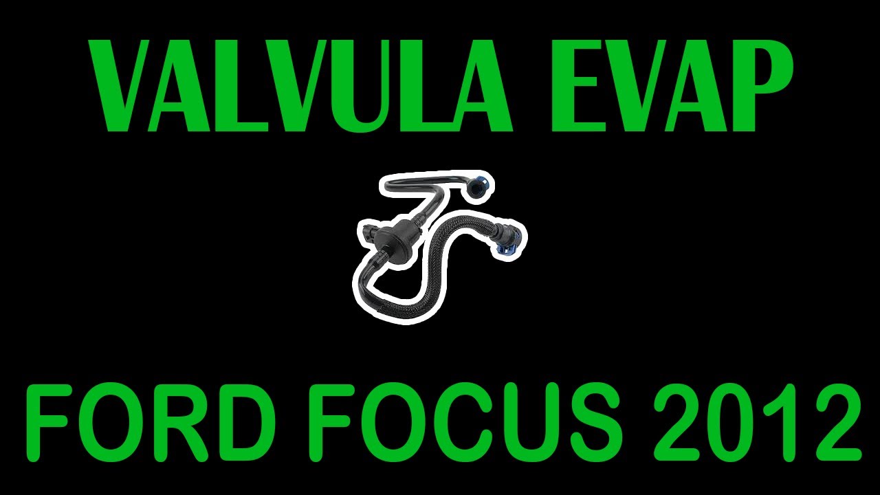 FORD FAOCUS 2012 CODIGO P046  REMPLAZO DE VALVULA (EVAP)