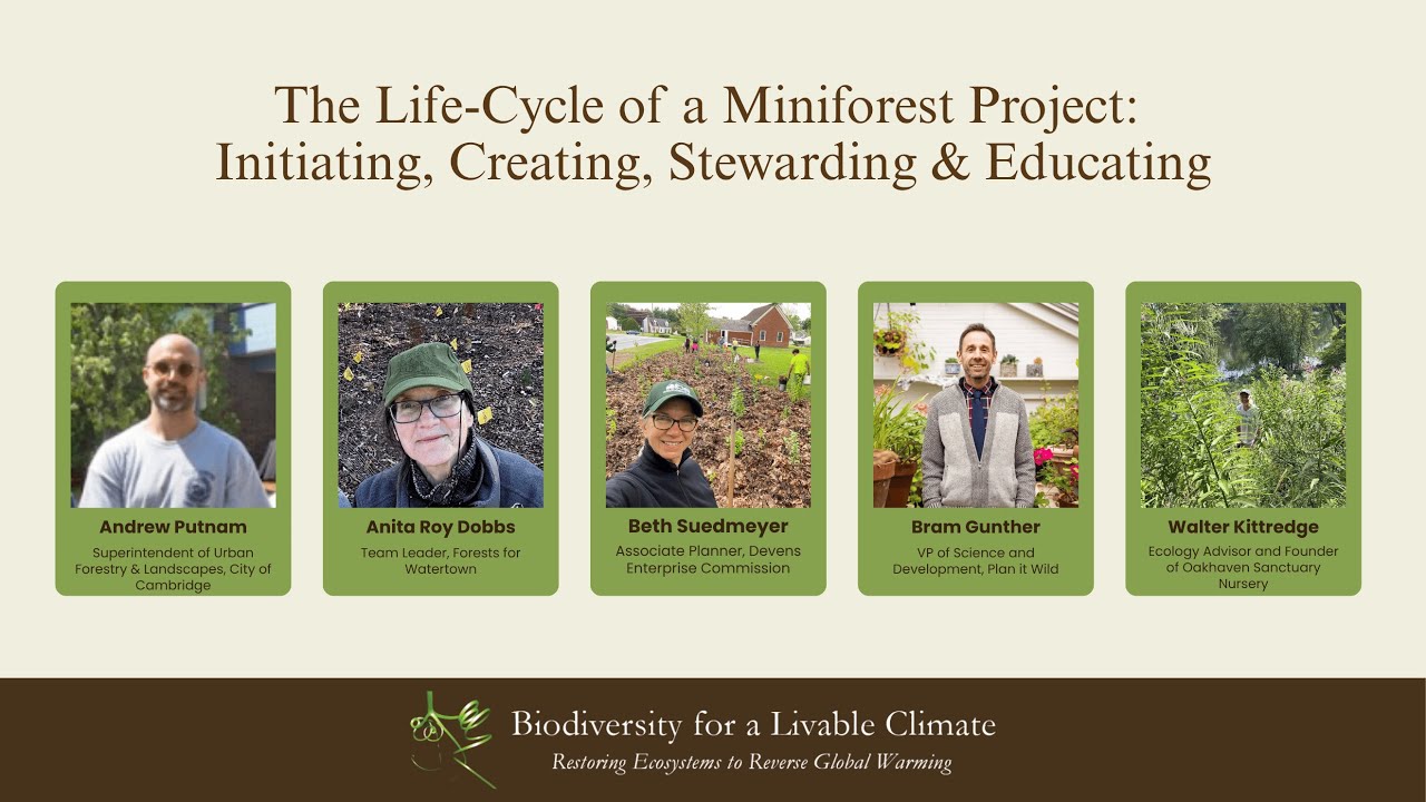 The Life-Cycle of a Miniforest Project: Initiating, Creating, Stewarding & Educating
