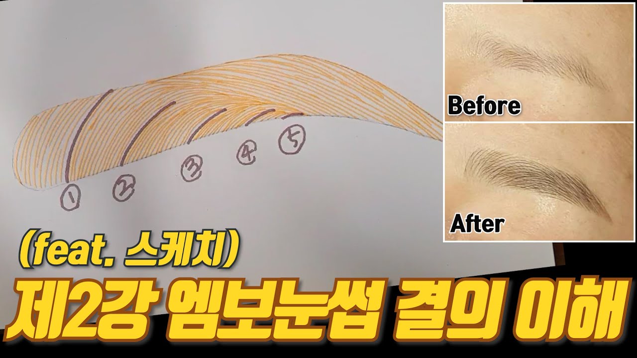 [반영구 화장] 제 2강 엠보눈썹 결 쉽게 이해하기 눈썹문신 - Microblending eyebrows education
