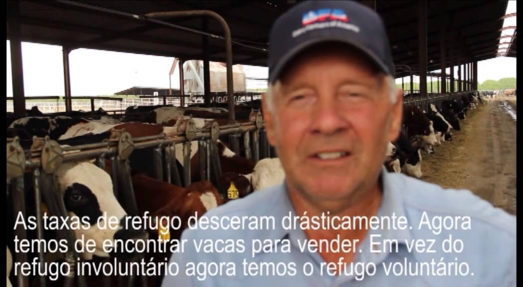 VikingGenetics - Exploração ProCROSS de Willie Bylsma, Oakdale - Legendado em Português