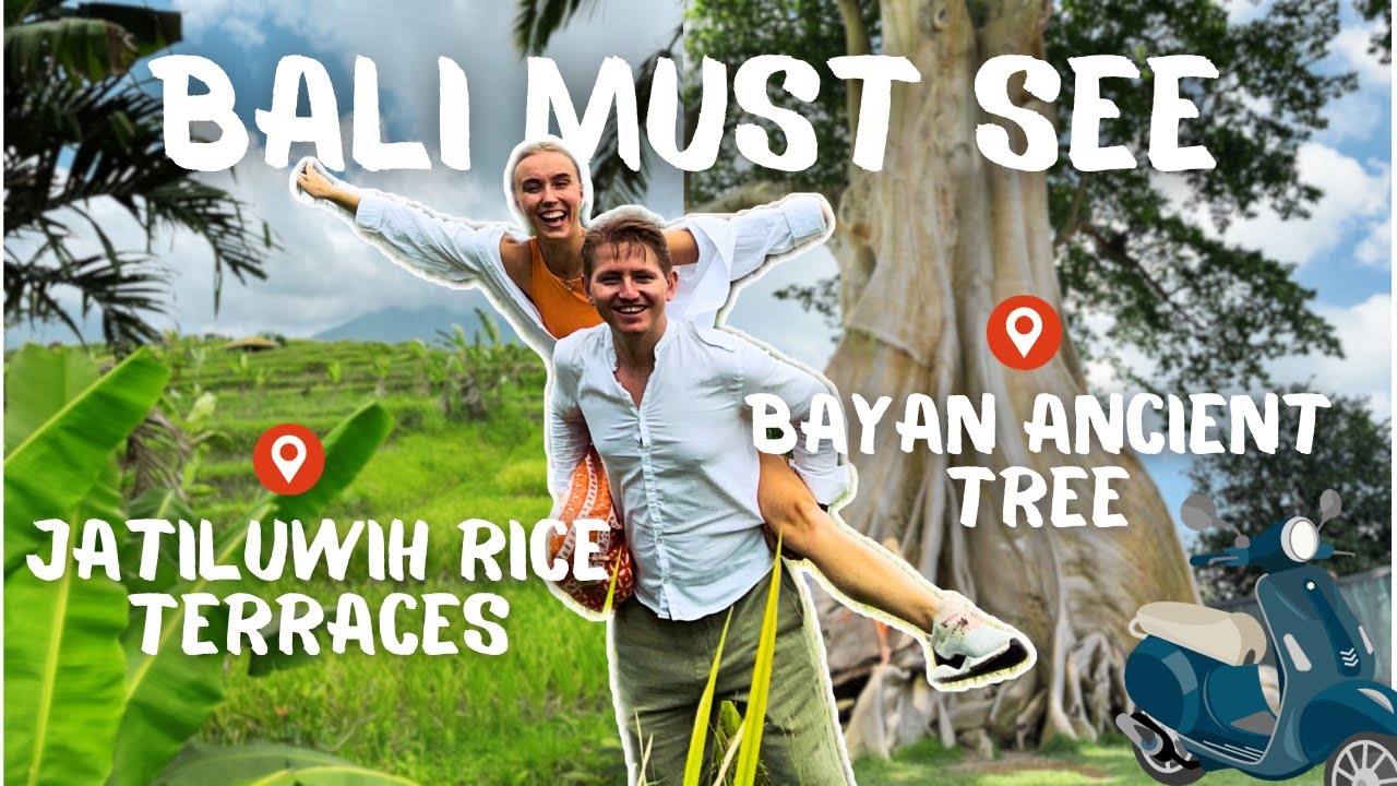 Bali Must See | Jatiluwih Rice Terraces | Bayan Ancient Tree | BALI VLOG
