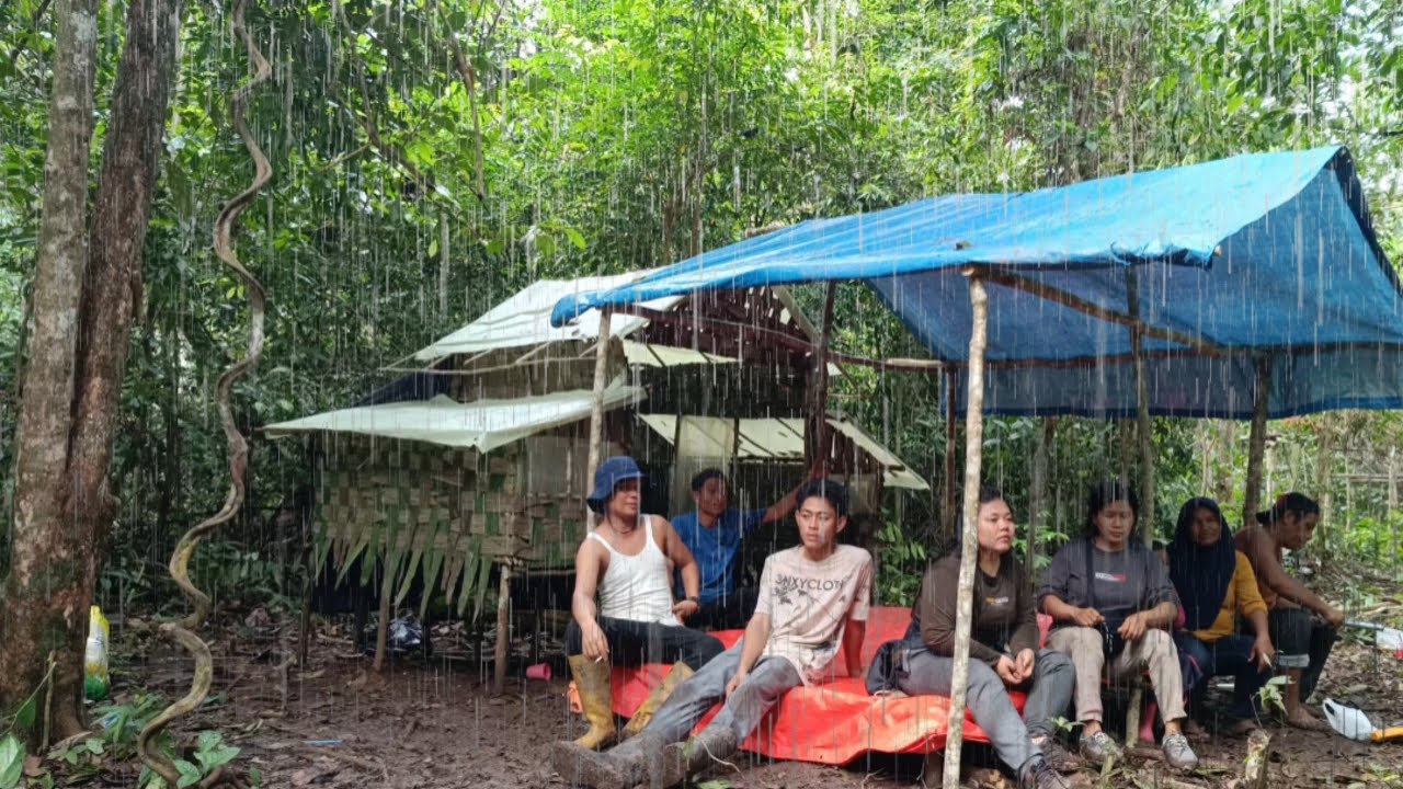 diguyur hujan deras camping rame rame / tidur nyenyak sampai pagi di temani suara hujan